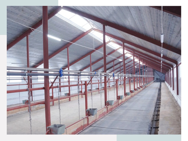 Строительство коровников в Димитровграде от 618 руб.