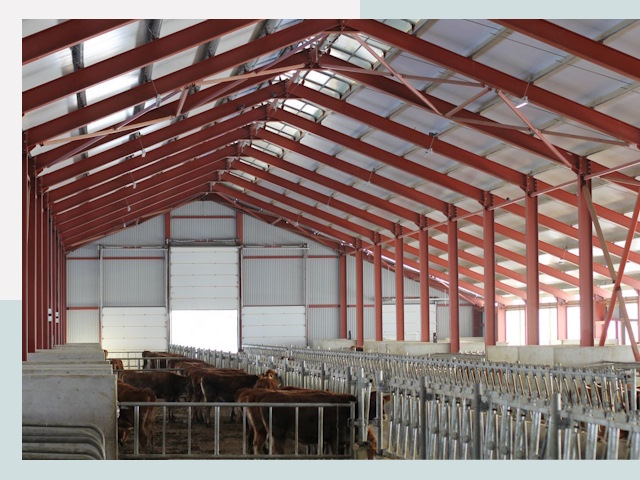 Строительство коровников в Димитровграде