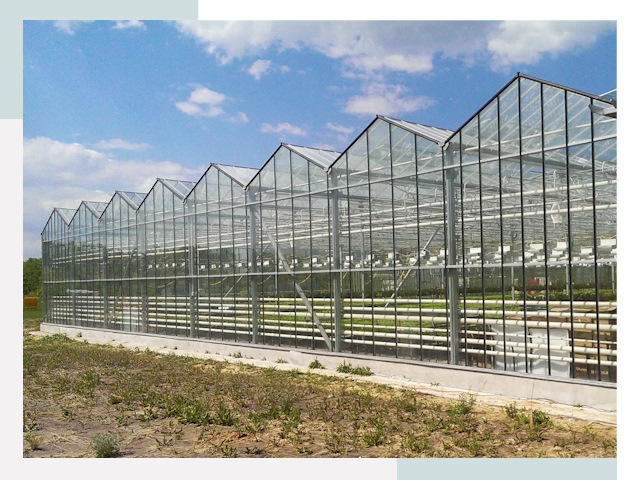 Строительство теплиц в Димитровград от 618 руб. за м²