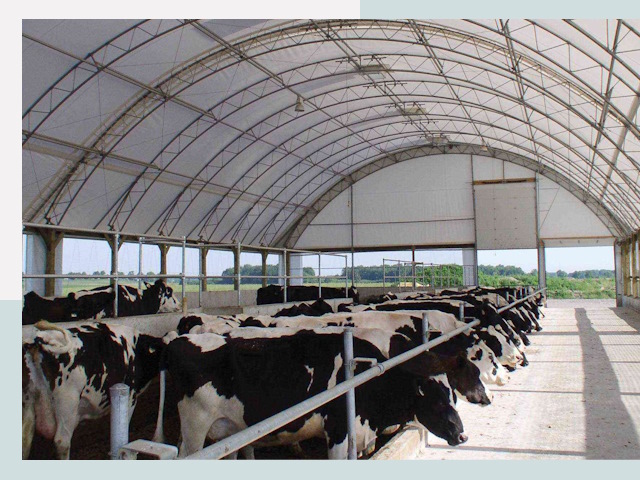 Тентовые коровники в Димитровграде