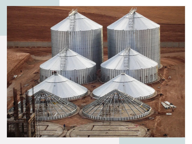 Строительство зерновых силосов в Димитровграде